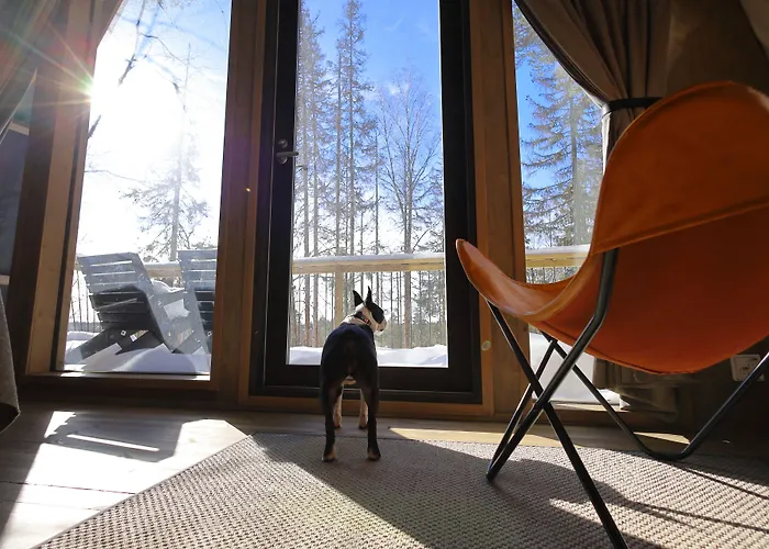 Haltia Lake Lodge Nature Boutique Hotel & Glamping