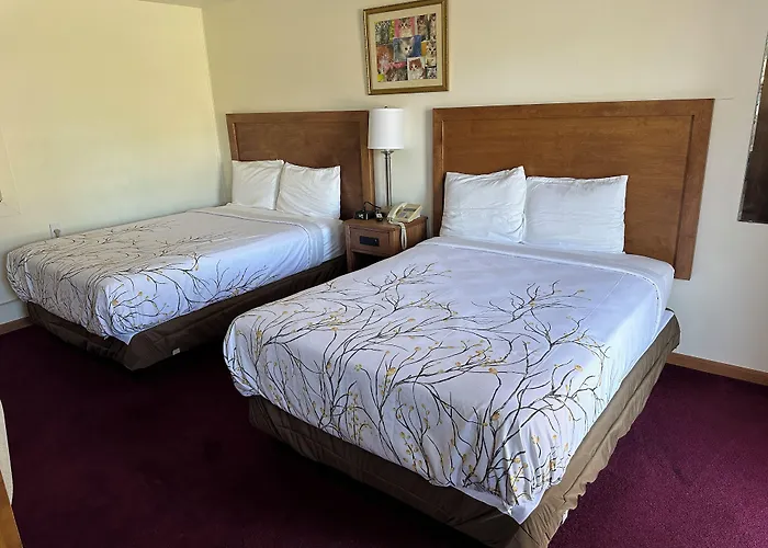 Vista Villa Motel