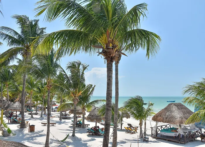 Amaite Holbox - Oceanfront Hotel