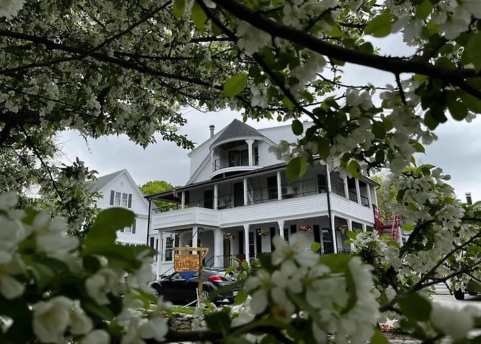 Queen Anne'S Revenge
