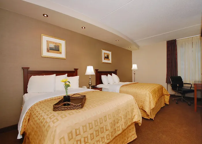 Plaza Inn & Suites