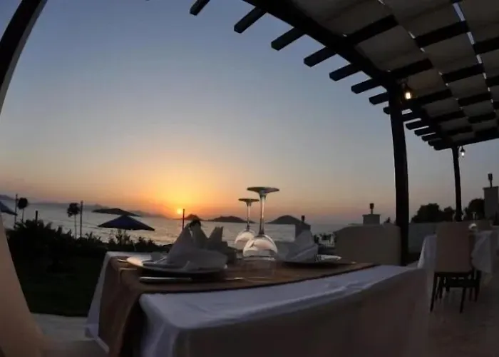 Small Beach Hotel