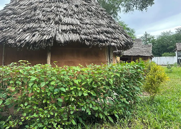Zanzigo