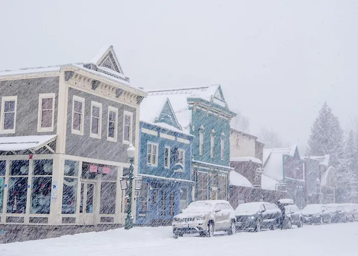 Cozy Pet-Friendly King Studio In Mt, Crested Butte Condo