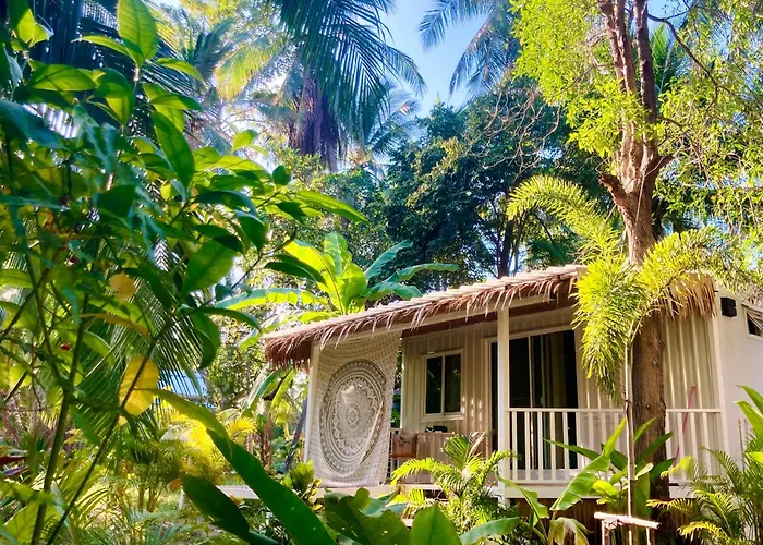 Secret Palm