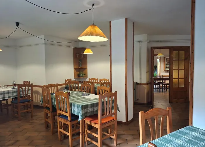 Mitja Pensió Hostal Pastuira Vallter 10