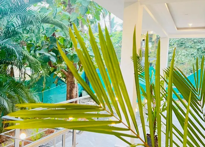 Shades Ivory - Agonda Beach Resort