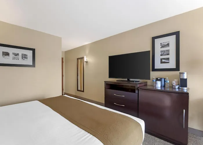 Best Western Plus Plaza By The Green
