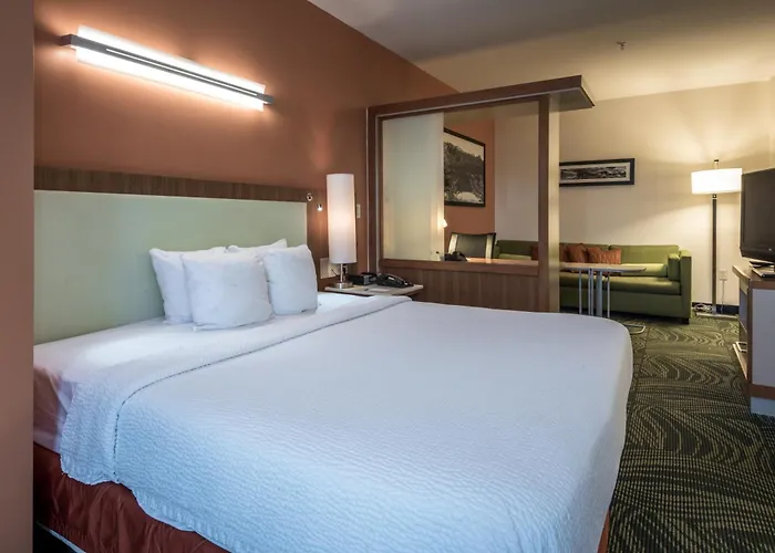 Springhill Suites Statesboro University Area
