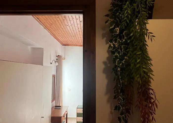 Barbaressa