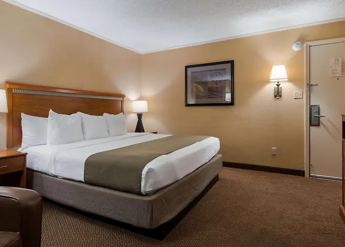 Surestay Plus By Best Western Covington