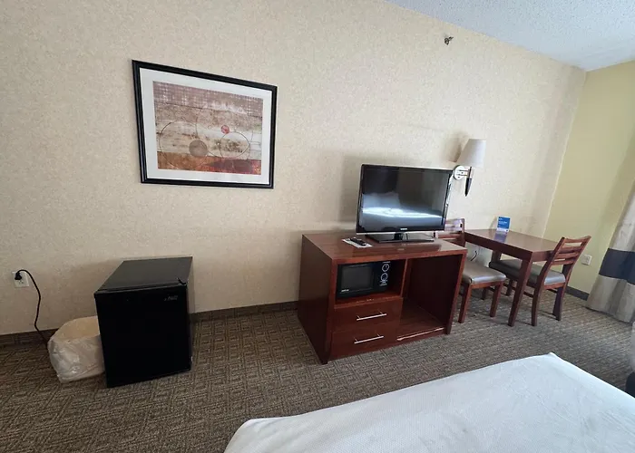 Comfort Inn&Suites Hamburg - Buffalo South