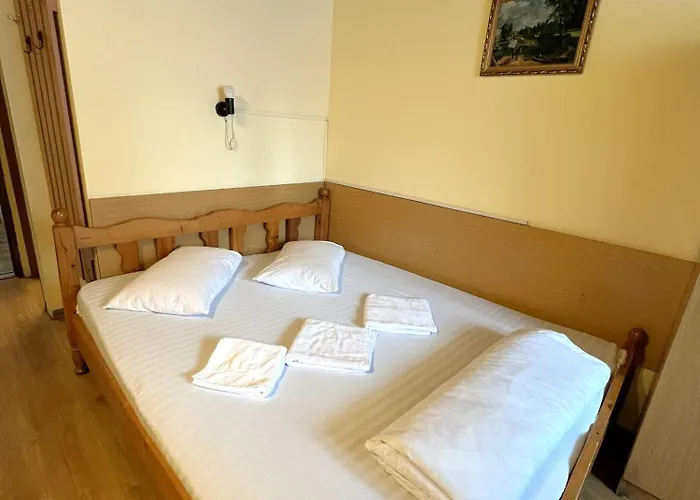 Hotel Decebal Bistrita