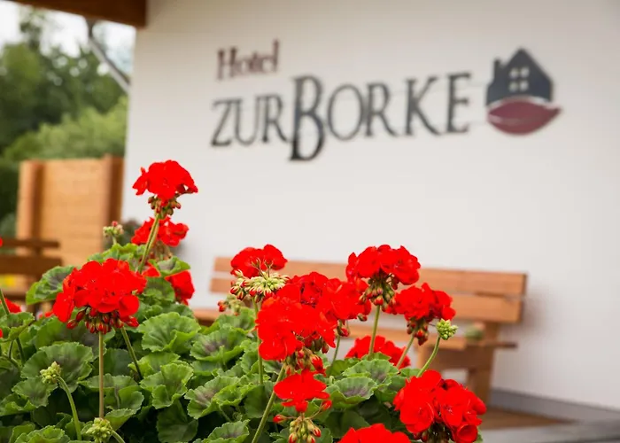 Hotel Zur-Borke