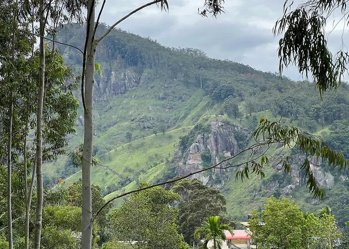 Ella Forest Eco View