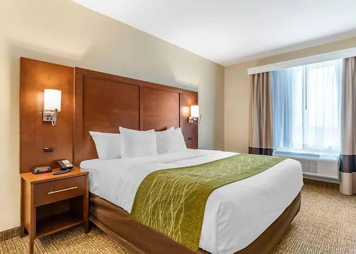Comfort Suites San Antonio Ft Sam Houston-Sammc Area