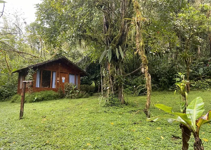 Hotel El Abrazo Del Arbol