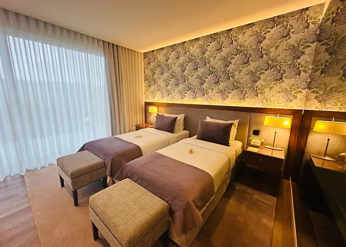 Hotel Cotto do Gatto