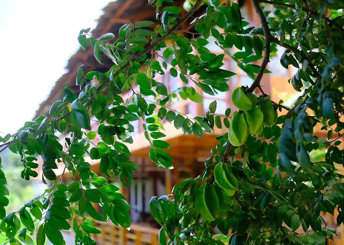 Chai Eco Home
