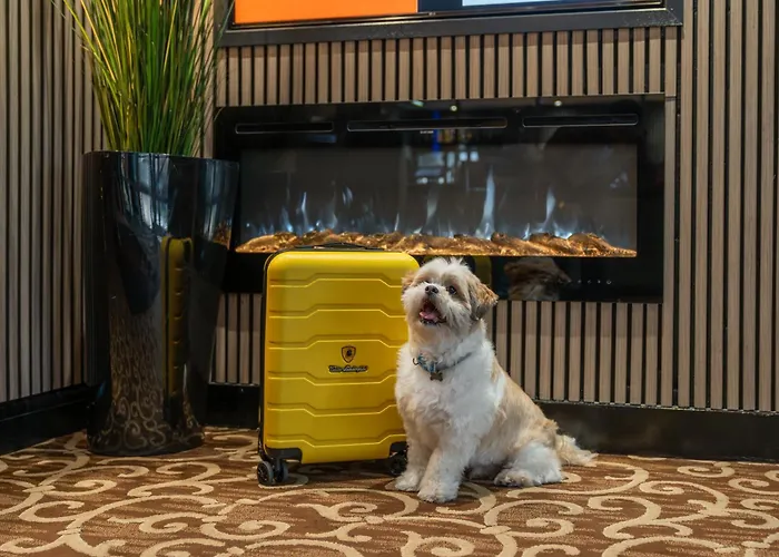 Airport Hotel Manchester