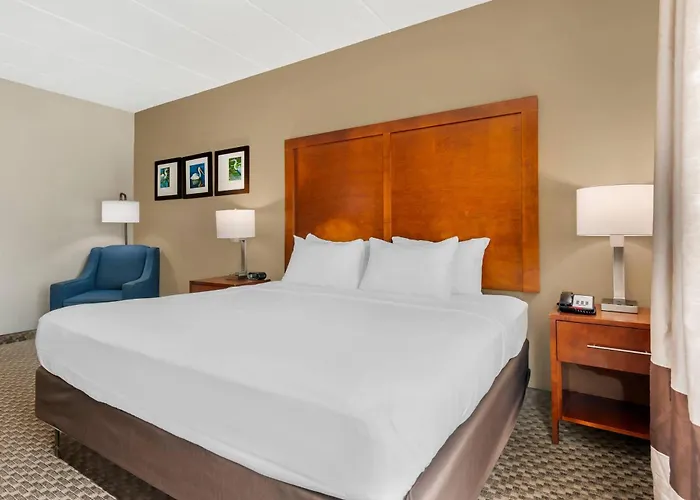 Comfort Inn & Suites Wildwood - The Villages