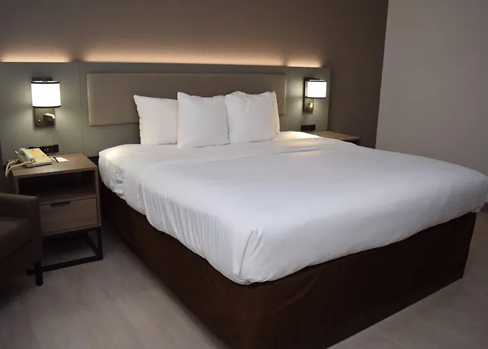 Comfort Inn&Suites Syracuse-Carrier Circle