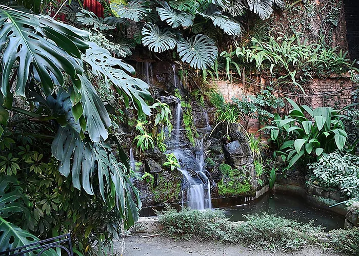 Hotel Nirvana Garden