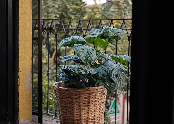 Casa Arrayan
