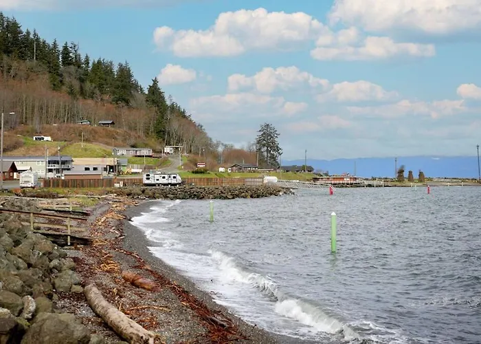 Curley'S Resort & Dive Center