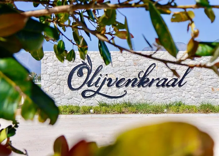 Olijvenkraal Winelands Lodge