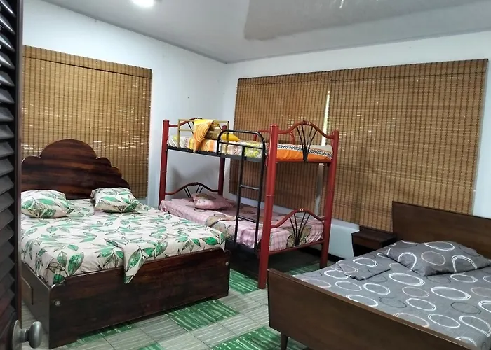 hostal el gato