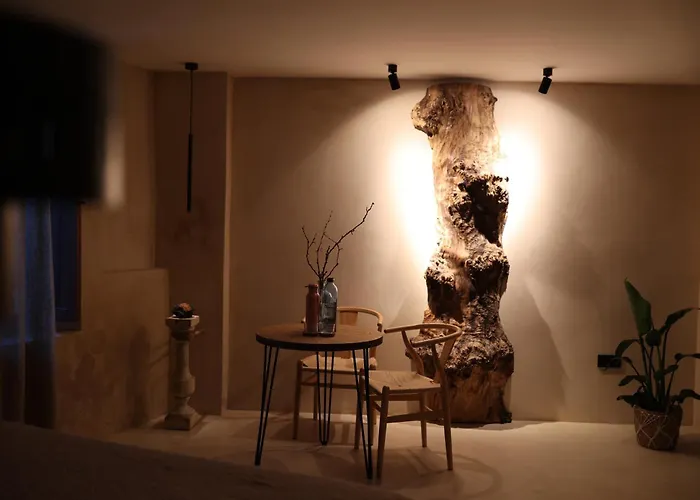 Espacio Biocompatible - Villa Raiz