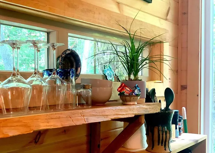 Dreamy Treehouse Getaway Dog Friendlydisc Golf