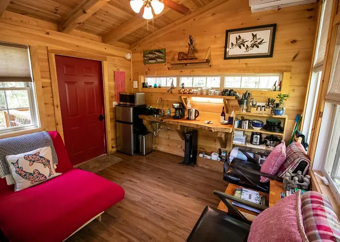 Dreamy Treehouse Getaway Dog Friendlydisc Golf