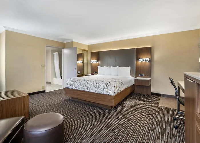 Best Western Airpark Hotel - Lax Airport La Stadium