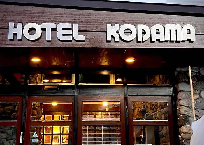Hotel Kodama
