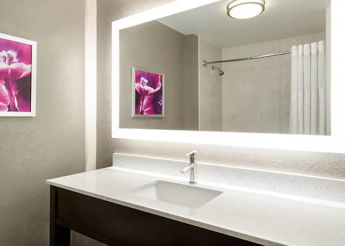 La Quinta By Wyndham Arlington North 6 Flags Dr