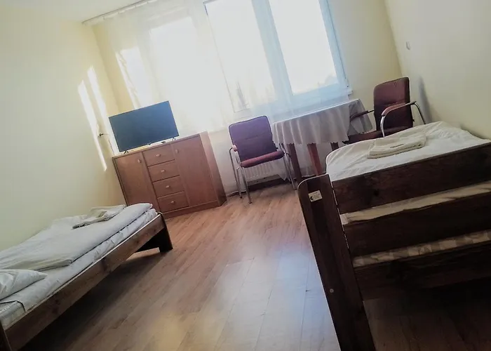 Homer Bydgoszcz Osrodek Rehabilitacji I Szkolenia Pzn