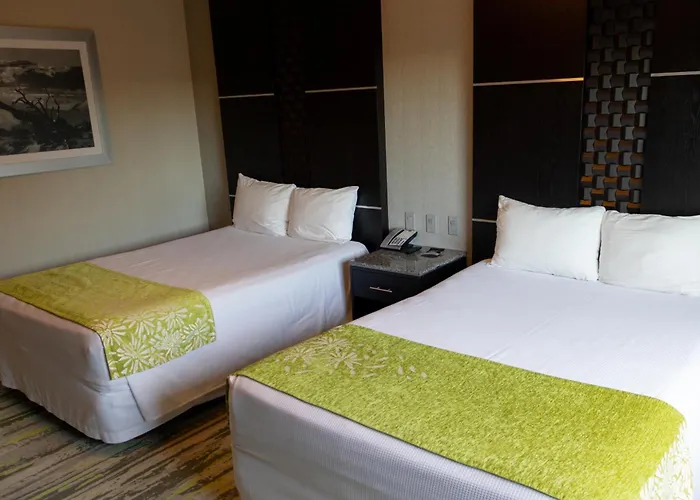 Hotel Mirra San Luis