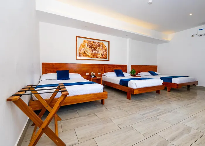 Hotel Las Ninfas