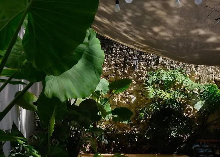Hotel&Hostal Boutique Casa Garza