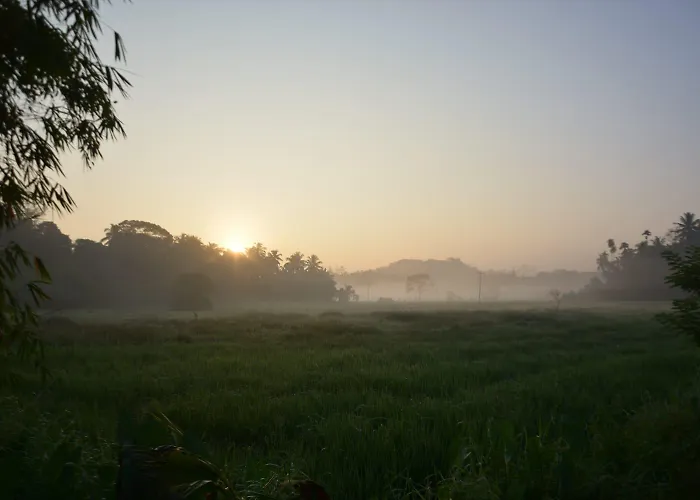 Suwetha Villa Ayurveda Resort