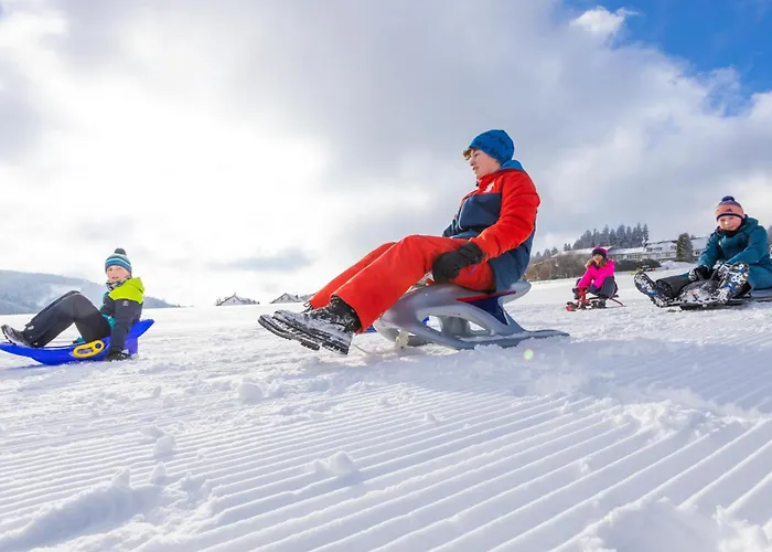 Mountain View Hotel Willingen, BW Signature Collection