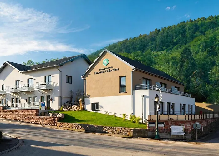 Les Appartements Husseren Collections - Proche Colmar - Eguisheim