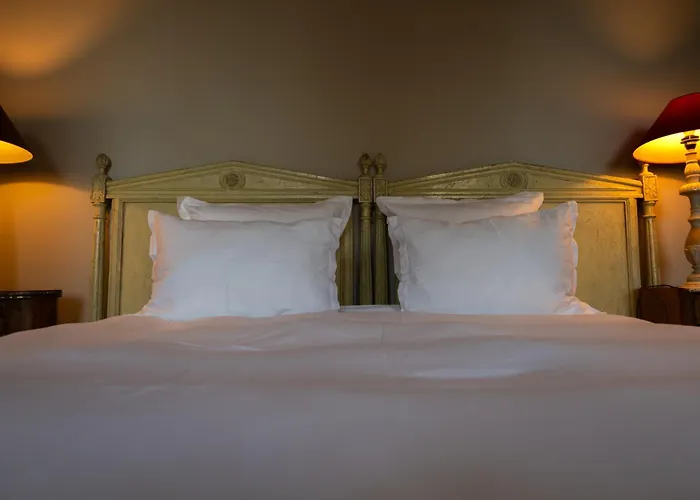 Le Château du Sollier - Charme calme et confort climatisation à 5mn du peage