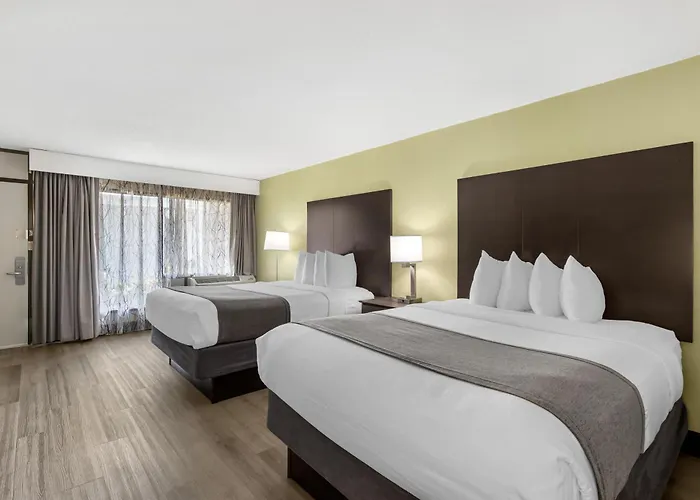 Best Western Asheville-Blue Ridge Parkway