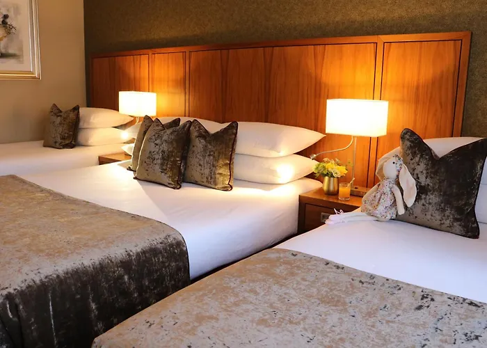 The Rose Hotel