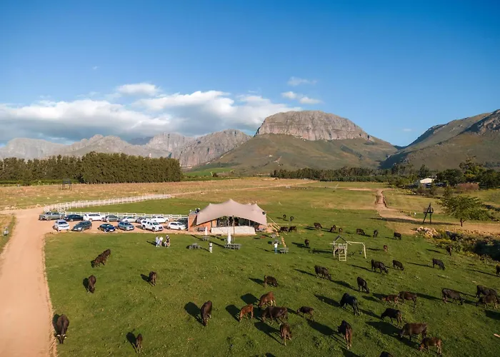 Wagyu Mountain Lodge