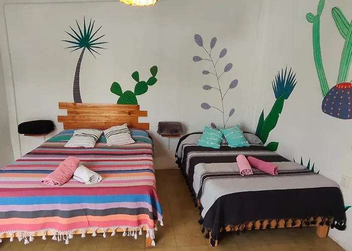 Hostel Casa Maguey