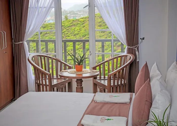 The Mount View Single Tree Hotel
